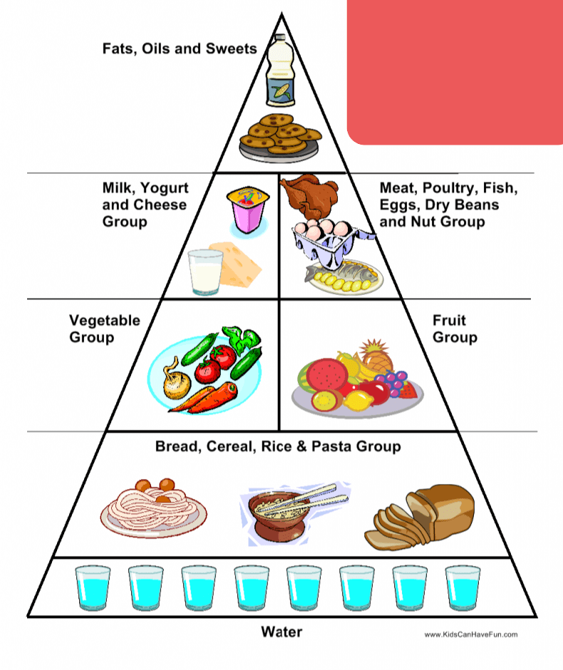 Nutrients and diet quiz (HFLE)