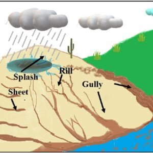 Weathering and erosion quiz 1